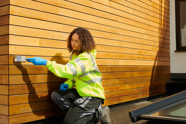 Best Siding Maintenance  in Murrysville, PA
