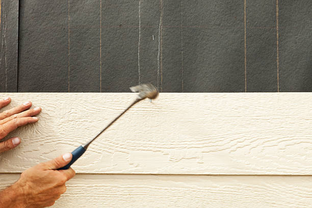 Best Historical Building Siding Restoration  in Murrysville, PA